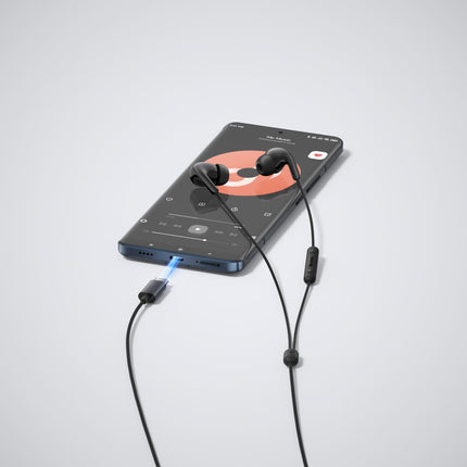 Xiaomi Type-C Wired In-Ear Earphones