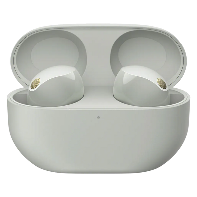 Sony WF-1000XM5 Wireless Noise Cancelling Earbuds - Silver