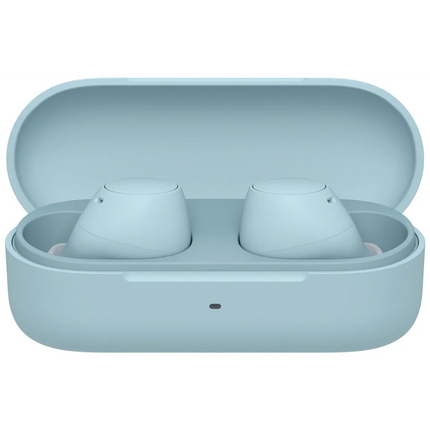 Sony WF-C510 True Wireless Earbuds