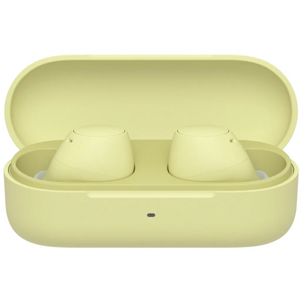 Sony WF-C510 True Wireless Earbuds